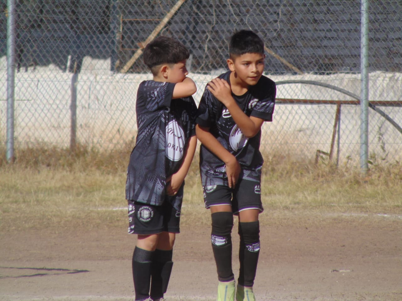 Imagen 1